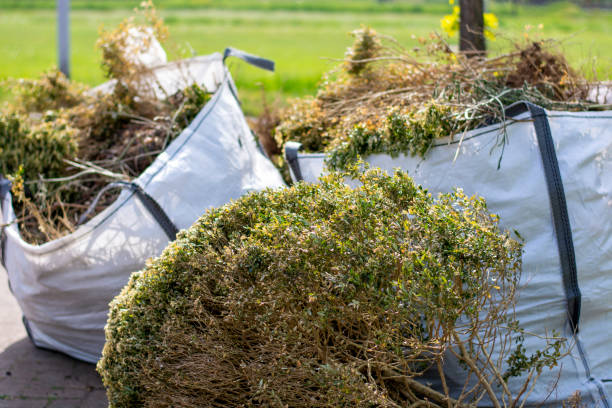Best Trash Removal Near Me  in Denton, MD