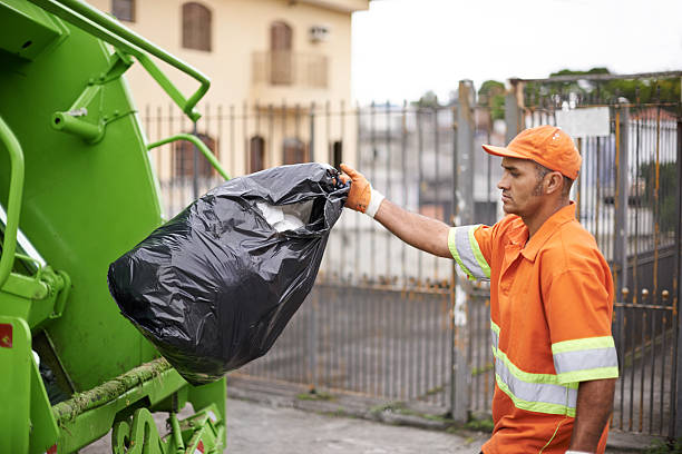 Debris Removal in Denton, MD